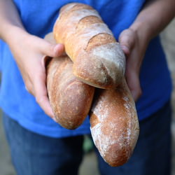 How to Make a French Baguette - Recipe photo by righteye