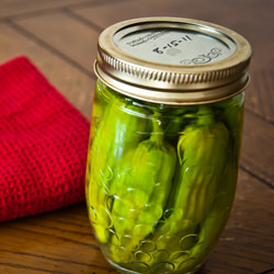 Fermented Pepperoncini - Recipe photo by BobbiLewin