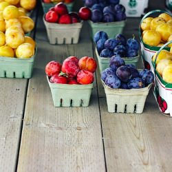 Plum Cobbler - Recipe photo by tara