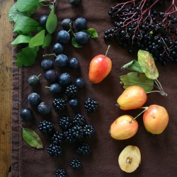 Urban Foraging - Recipe photo by urbanefruits
