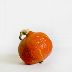 Vegan Pumpkin Pie w/ Honey - Recipe photo by Everyday Emotion
