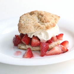 Strawberry Shortcake - Recipe photo by fauxmartha
