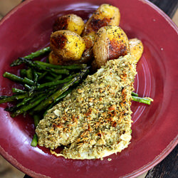 Pumpkin Seed Crusted Tilapia - Recipe photo by Jane Deere