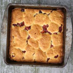Cherry Cornmeal Cake - Recipe photo by smallkitchcara