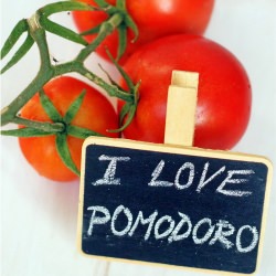 Tomato and Bread Soup - Recipe photo by mauka