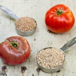 Perfect Salad - Recipe photo by acouplecooks