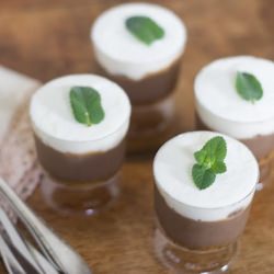 Mint Chocolate Dessert Shots - Recipe photo by vintagemixer