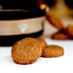 Peanut Butter Dog Treats - Recipe photo by browniebites