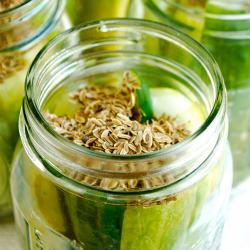 Homemade Dill Pickles - Recipe photo by asweetpeachef
