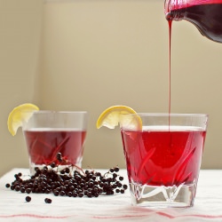 Spiced Elderberry Cordial - Recipe photo by dinks