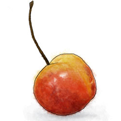 Bourbon Cherries - Recipe photo by jonroberts