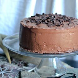 Double Chocolate Layer Cake - Recipe photo by mikekostyo