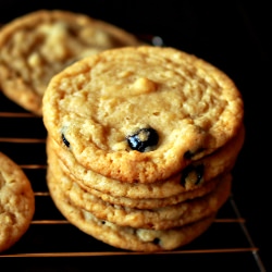 Blueberry & Cream Cookies - Recipe photo by bourbonnatrix