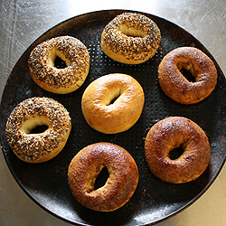Bagels - Recipe photo by eatyourvegetable