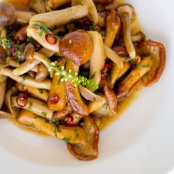 Marinated Japanese Mushrooms - Recipe photo by norecipes