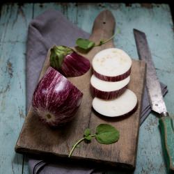 Grilled Eggplant Salad - Recipe photo by NicoleFranzen