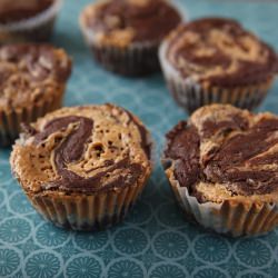 Peanut Butter Chocolate Cupcakes - Recipe photo by bradleykitchen