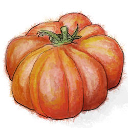 Heirloom Tomato Pizza - Recipe photo by jonroberts