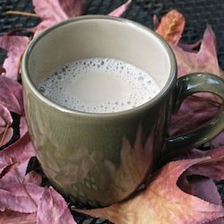 Dry Ginger Milk - Recipe photo by TasteasyouCook