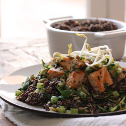 Salmon with Quinoa - Recipe photo by hollyrose