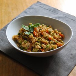 Shrimp Stir-Fried Rice - Recipe photo by MegSalvia