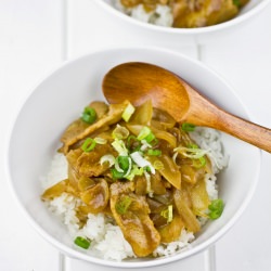 Pork Curry Donburi - Recipe photo by Just One Cookbook