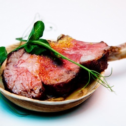 Lamb Chop - Recipe photo by thewanderingeater