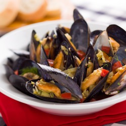 Mussels in Pernod & Wine - Recipe photo by Sally Cameron