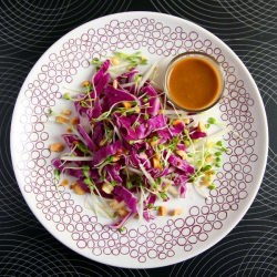 Spicy Red Cabbage Kohlrabi Salad - Recipe photo by My Kitchen in the Rockies