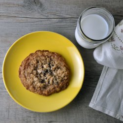 Double Oatmeal Raisin Cookies - Recipe photo by Turntable Kitchen
