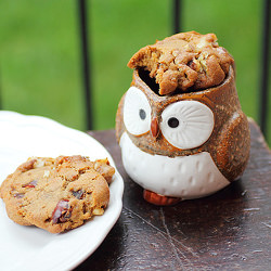 Date & Walnut Chewy - Recipe photo by Adventuress Heart