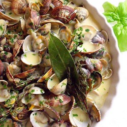 Clams in Cream Sauce - Recipe photo by alison