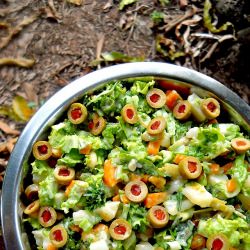 Ensaladilla Rusa – Spanish Salad - Recipe photo by vegrecipesofindia