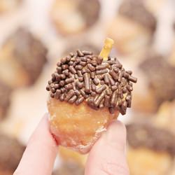 Donut Hole Acorns - Recipe photo by Taste See