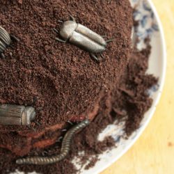 Beetle Forest Gateau - Recipe photo by Jules