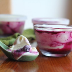Lemon Blueberry Frozen Yogurt - Recipe photo by InquiringChef