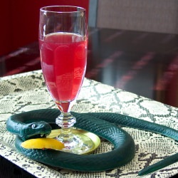 Seprent's Egg - Recipe photo by 12BottleBar