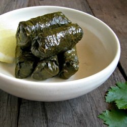 Vegetarian Dolmades - Recipe photo by My Darling Lemon Thyme