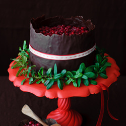 Chocolate Cranberry Cake - Recipe photo by PureVegetarianByLakshmi