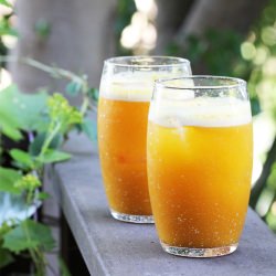 Pumpkin and Apple Cider Fizz - Recipe photo by Kitchen Konfidence