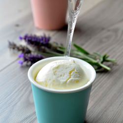 Lemon Frozen Yogurt - Recipe photo by coconutandvanilla