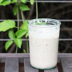 Sourdough Starter: Day 2 - Recipe photo by Kitchen Konfidence