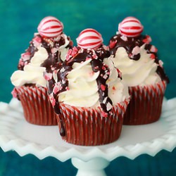 Peppermint Mocha Cupcakes - Recipe photo by BakersRoyale