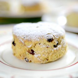 Winter Scones - Recipe photo by Yasmin Limbert