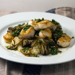 Scallops, Mushrooms and Celeriac - Recipe photo by Operation Gastronomia