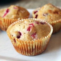 Cranberry White Chocolate Muffins - Recipe photo by kmkrueb