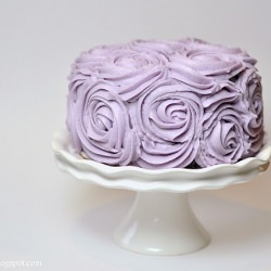 Mauve roses cake - Recipe photo by pocketful of dreams