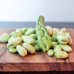 How to Prepare Fava Beans - Recipe photo by BigAppleNosh