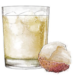 Lychee Fizz - Recipe photo by jonroberts