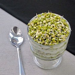 Sprouted Mung Beans - Recipe photo by TasteasyouCook